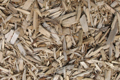 biomass boilers Longmoss